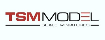 TSM